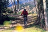 Ciclismo