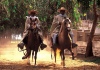 Caballos de Paso