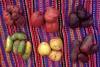 Papas